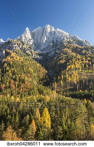 Stock Image - Grosser Odstein im Herbst, Nationalpark Gesause, Steiermark, Osterreich, Europa. Fotosearch