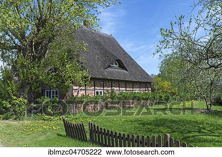 Half-timbered farmhouse with thatched roof, Mecklenburg-Western Pomerania, Germany, Europe View Large Photo Image Stock Image - Half-timbered farmhouse with thatched roof, Mecklenburg-Western Pomerania, Germany, Europe. Fotosearch