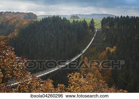 Stock Photograph - Hangeseilbrucke Geierlay uber Morsdorfer Bachtal, Morsdorf, Hunsruck, Rheinland-Pfalz, Deutschland, Europa. Fotosearch