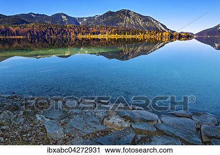 Herbstlandschaft, Spiegelung im Walchensee, Jachenau, Bayern, Oberbayern, Deutschland, Europa View Large Photo Image Stock Image - Herbstlandschaft, Spiegelung im Walchensee, Jachenau, Bayern, Oberbayern, Deutschland, Europa. Fotosearch