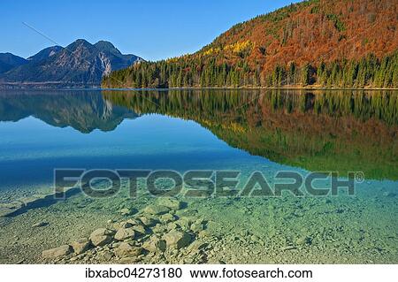 Stock Image - Herbstlandschaft, Walchensee mit Herzogstand, Jachenau, Bayern, Oberbayern, Deutschland, Europa. Fotosearch