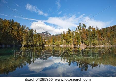 Stock Photography - Herbststimmung am Kleinen Odsee, Totes Gebirge, Almtal, Oberosterreich, Osterreich, Europa. Fotosearch