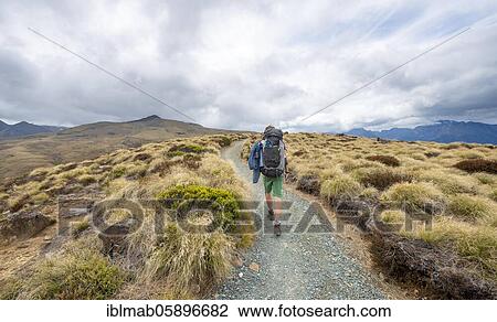 Stock Image - Hiker on Kepler Track, Fiordland National Park, Southland, South Island, New Zealand, Oceania. Fotosearch