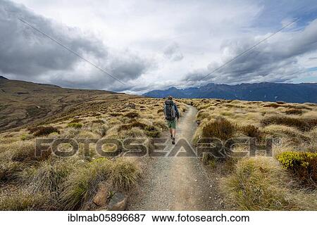 Stock Photo - Hiker on Kepler Track, Fiordland National Park, Southland, South Island, New Zealand, Oceania. Fotosearch