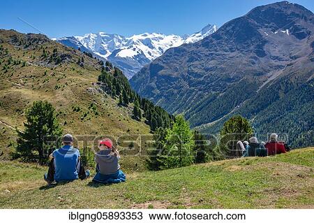 Stock Image - Holidaymakers on Alp Languard with Piz Palü and Bellavista above the Bernina Valley, Pontresina, Bernina Alps, Upper Engadine, Engadine, Grisons, Switzerland, Europe. Fotosearch