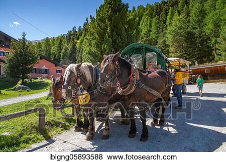Stock Photo - Horse-drawn carriage in the Roseg Valley, Val Roseg at the excursion inn, Pontresina, Bernina Alps, Upper Engadine, Engadine, Grisons, Switzerland, Europe. Fotosearch