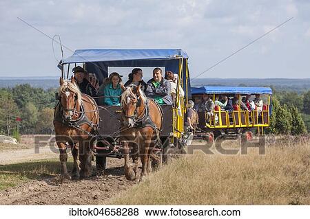 Horse-drawn carriages, landscape protection area Höpen, Schneverdingen, Lüneburg Heath Nature Park, Lower Saxony, Germany, Europe View Large Photo Image Stock Photo - Horse-drawn carriages, landscape protection area Höpen, Schneverdingen, Lüneburg Heath Nature Park, Lower Saxony, Germany, Europe. Fotosearch