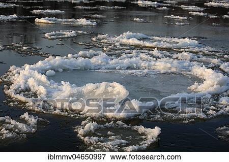 Ice corridor, ice floes on the Elbe, Biosphere Reserve Middle Elbe, Dessau-Roßlau, Saxony-Anhalt, Germany, Europe View Large Photo Image Stock Photo - Ice corridor, ice floes on the Elbe, Biosphere Reserve Middle Elbe, Dessau-Roßlau, Saxony-Anhalt, Germany, Europe. Fotosearch