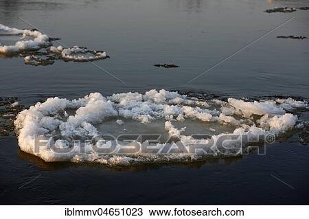 Ice floe, ice floe on the Elbe, Biosphere Reserve Middle Elbe, Dessau-Roßlau, Saxony-Anhalt, Germany, Europe View Large Photo Image Stock Image - Ice floe, ice floe on the Elbe, Biosphere Reserve Middle Elbe, Dessau-Roßlau, Saxony-Anhalt, Germany, Europe. Fotosearch
