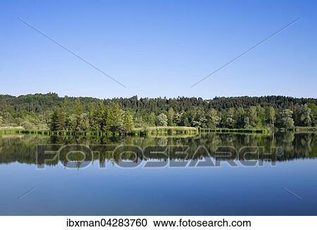 Ickinger Stausee in Naturschutzgebiet Isarauen mit Kirche von Icking, Pupplinger Au, Oberbayern, Bayern, Deutschland, Europa View Large Photo Image Stock Image - Ickinger Stausee in Naturschutzgebiet Isarauen mit Kirche von Icking, Pupplinger Au, Oberbayern, Bayern, Deutschland, Europa. Fotosearch