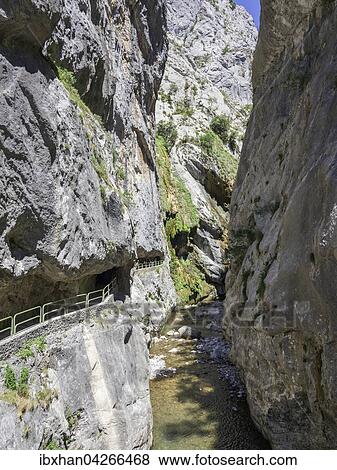 Stock Photo - In den Felsen gehauener Weg, Cares Schlucht, Nationalpark Picos de la Europa, Cain, Castilla y Leon, Spanien, Europa. Fotosearch