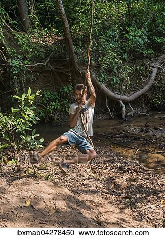 Stock Image - Junger Mann, Tourist schwingt an einer Liane im Dschungel, tropischer Regenwald, Nationalpark Taman Negara, Malaysia, Asien. Fotosearch