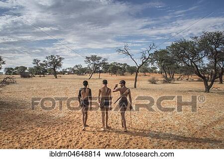 Kung Bushmen in the Kalahari, Zebra Lodge, Hardap Region, Namibia, Africa View Large Photo Image Picture - Kung Bushmen in the Kalahari, Zebra Lodge, Hardap Region, Namibia, Africa. Fotosearch