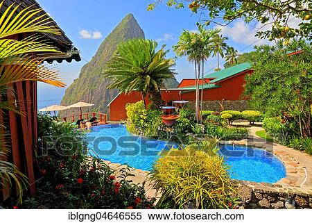 Ladera Resort swimming pool with the Petit Piton 743m, Soufriere, St. Lucia, Lesser Antilles, West Indies, Caribbean Islands View Large Photo Image Stock Photography - Ladera Resort swimming pool with the Petit Piton 743m, Soufriere, St. Lucia, Lesser Antilles, West Indies, Caribbean Islands. Fotosearch