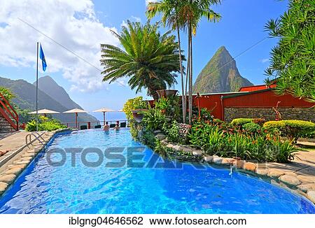 Stock Image - Ladera Resort's swimming pool with views of the two Pitons, Gros Piton 770m and Petit Piton 743m, Soufriere, St. Lucia, Lesser Antilles, West Indies, Caribbean Islands. Fotosearch
