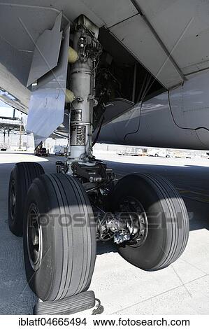 Landing gear, Airbus, A380-800, Lufthansa, Munich Airport, Upper Bavaria, Bavaria, Germany, Europe View Large Photo Image Picture - Landing gear, Airbus, A380-800, Lufthansa, Munich Airport, Upper Bavaria, Bavaria, Germany, Europe. Fotosearch