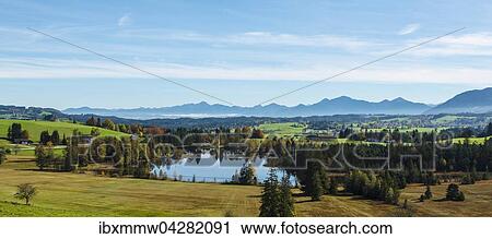 Stock Image - Landschaft mit einem kleinen Weiher, hinten Silhouette der Allgauer Alpen, Allgau, Schwaben, Bayern, Deutschland, Europa. Fotosearch