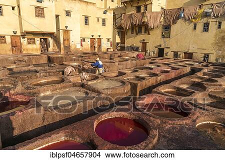 Picture - Leather dyeing tanks, dyeing plant, Tannerie Chouara tannery, Fes el Bali tannery and dyeing district, Fez, Morocco, Africa. Fotosearch
