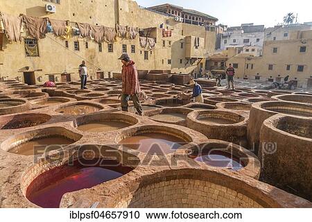 Leather dyeing tanks, dyeing plant, Tannerie Chouara tannery, Fes el Bali tannery and dyeing district, Fez, Morocco, Africa View Large Photo Image Stock Image - Leather dyeing tanks, dyeing plant, Tannerie Chouara tannery, Fes el Bali tannery and dyeing district, Fez, Morocco, Africa. Fotosearch