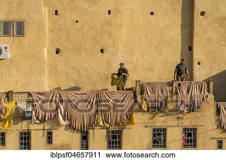 Stock Image - Leather is hung to dry, dyeing plant, tannery Tannerie Chouara, tanner and dyeing district Fes el Bali, Fez, Morocco, Africa. Fotosearch