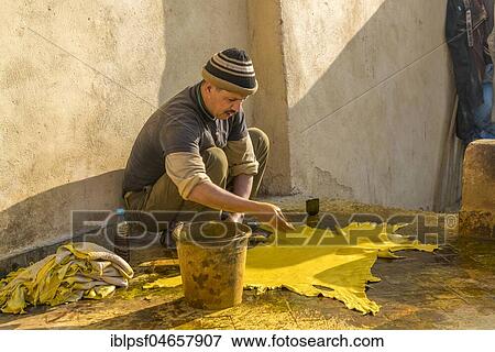 Stock Photo - Leather tanners, leather is dyed yellow, dyeing, Tannerie Chouara, tannery- and dye quarter Fes el Bali, Fez, Morocco, Africa. Fotosearch