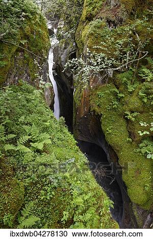 Stock Image - Leitenkammer Klamm, Wildgerlosbach im Wildgerlostal, Nationalpark Hohe Tauern, Zillertal, Salzburger Land, Osterreich, Europa. Fotosearch