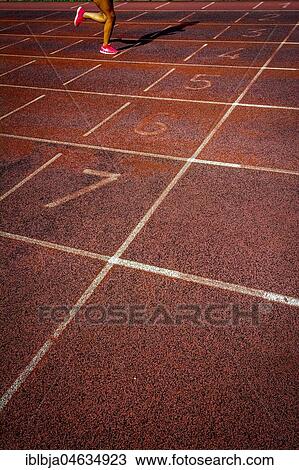 Lines on an athletics track, France, Europe View Large Photo Image Stock Image - Lines on an athletics track, France, Europe. Fotosearch