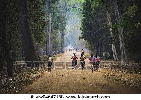 Local children ride bicycles, way to school, Angkor Archaeological Park, Siem Reap Province, Cambodia, Asia View Large Photo Image Stock Photo - Local children ride bicycles, way to school, Angkor Archaeological Park, Siem Reap Province, Cambodia, Asia. Fotosearch