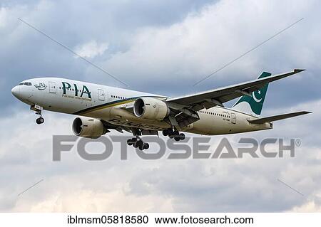 London, 10 July 2019: A PIA Pakistan International Boeing 777-200ER aircraft with registration mark AP-BGK lands at Heathrow Airport (LHR) in the United Kingdom, United Kingdom, Europe View Large Photo Image Stock Image - London, 10 July 2019: A PIA Pakistan International Boeing 777-200ER aircraft with registration mark AP-BGK lands at Heathrow Airport (LHR) in the United Kingdom, United Kingdom, Europe. Fotosearch