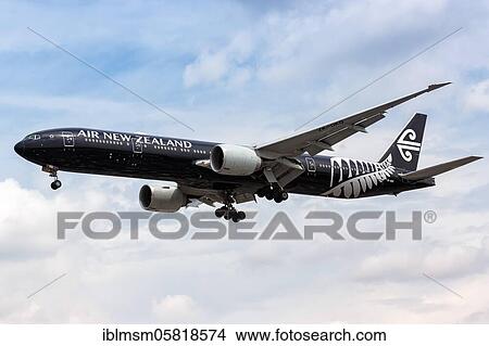 London, 10 July 2019: An Air New Zealand Boeing 777-300ER aircraft with registration mark ZK-OKQ and the special All Blacks livery will land at Heathrow Airport (LHR) in the United Kingdom, United Kingdom, Europe View Large Photo Image Picture - London, 10 July 2019: An Air New Zealand Boeing 777-300ER aircraft with registration mark ZK-OKQ and the special All Blacks livery will land at Heathrow Airport (LHR) in the United Kingdom, United Kingdom, Europe. Fotosearch