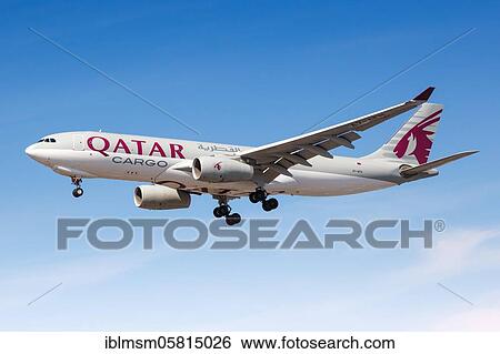 Stock Photograph - London, August 1, 2018: Qatar Cargo's Airbus A330-200F with registration marks A7-AFH lands at Heathrow Airport (LHR) in the United Kingdom, United Kingdom, Europe. Fotosearch
