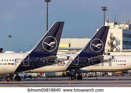 Lufthansa Airbus A321 aircraft with registration mark D-AIDH at Frankfurt Airport (FRA), Frankfurt, Germany, Europe View Large Photo Image Stock Image - Lufthansa Airbus A321 aircraft with registration mark D-AIDH at Frankfurt Airport (FRA), Frankfurt, Germany, Europe. Fotosearch