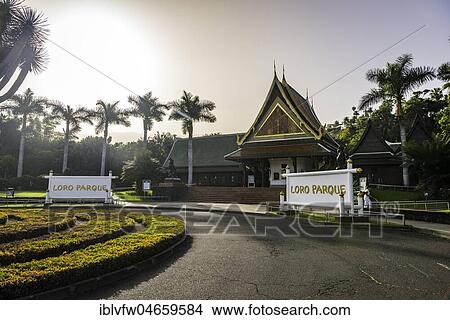 Picture - Main entrance, Loro Parque, Puerto de la Cruz, Tenerife, Canary Islands, Spain, Europe. Fotosearch