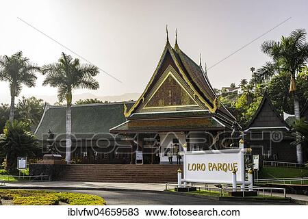 Main entrance, Loro Parque, Puerto de la Cruz, Tenerife, Canary Islands, Spain, Europe View Large Photo Image Stock Image - Main entrance, Loro Parque, Puerto de la Cruz, Tenerife, Canary Islands, Spain, Europe. Fotosearch