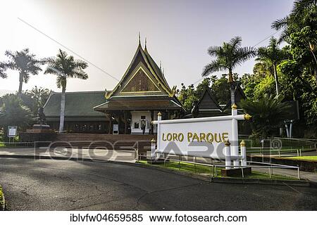 Main entrance, Loro Parque, Puerto de la Cruz, Tenerife, Canary Islands, Spain, Europe View Large Photo Image Stock Photography - Main entrance, Loro Parque, Puerto de la Cruz, Tenerife, Canary Islands, Spain, Europe. Fotosearch