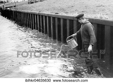 Stock Image - Man pours water from a watering can into the river, 1950s, exact place unknown, Germany, Europe. Fotosearch