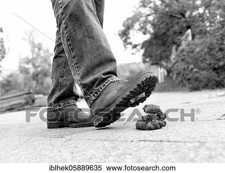 Stock Photography - Misfortune, dog excrement, Berlin, Germany, Europe. Fotosearch