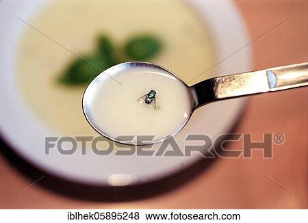 Misfortune, fly in the soup, Berlin, Germany, Europe View Large Photo Image Stock Photo - Misfortune, fly in the soup, Berlin, Germany, Europe. Fotosearch