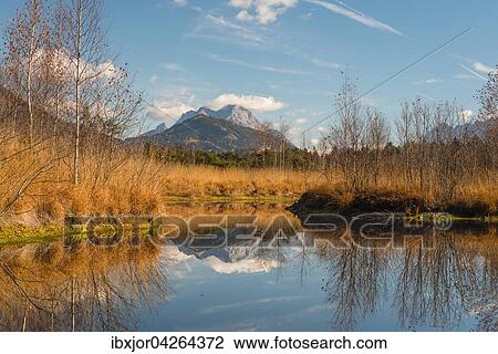 Moorsee, Libellenteich im Herbst, Purgschachen Moor, Ardning, Steiermark, Osterreich, Europa View Large Photo Image Stock Image - Moorsee, Libellenteich im Herbst, Purgschachen Moor, Ardning, Steiermark, Osterreich, Europa. Fotosearch