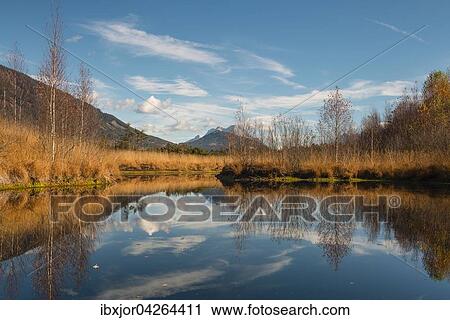 Moorsee, Libellenteich im Herbst, Purgschachen Moor, Ardning, Steiermark, Osterreich, Europa View Large Photo Image Stock Image - Moorsee, Libellenteich im Herbst, Purgschachen Moor, Ardning, Steiermark, Osterreich, Europa. Fotosearch