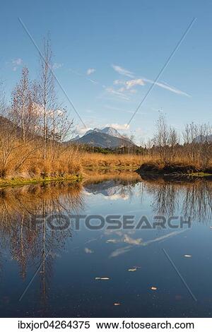 Stock Photography - Moorsee, Libellenteich im Herbst, Purgschachen Moor, Ardning, Steiermark, Osterreich, Europa. Fotosearch