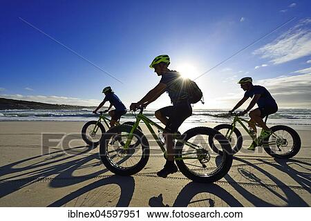 Mountain bikers with Fatbikes at the sandy beach, long shade, bicycle tour at Die Plaat Beach, Nature Reserve, De Kelders, Gansbaai, Western Cape, South Africa, Africa View Large Photo Image Stock Image - Mountain bikers with Fatbikes at the sandy beach, long shade, bicycle tour at Die Plaat Beach, Nature Reserve, De Kelders, Gansbaai, Western Cape, South Africa, Africa. Fotosearch