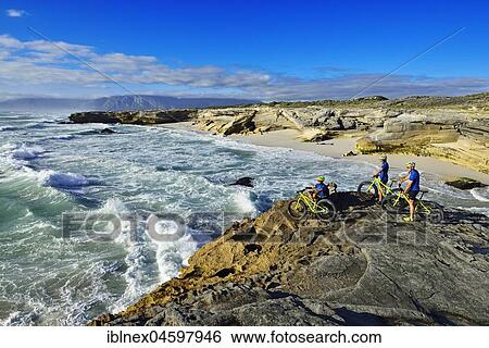 Mountain bikers with Fatbikes on cliff, bicycle tour at Die Plaat Beach, Nature Reserve, De Kelders, Gansbaai, Western Cape, South Africa, Africa View Large Photo Image Stock Photograph - Mountain bikers with Fatbikes on cliff, bicycle tour at Die Plaat Beach, Nature Reserve, De Kelders, Gansbaai, Western Cape, South Africa, Africa. Fotosearch