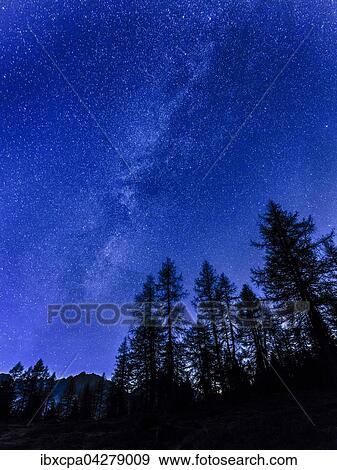 Nachtaufnahme mit Sternen, vorne Baume, Gleinser Berg, Tirol, Osterreich, Europa View Large Photo Image Stock Photo - Nachtaufnahme mit Sternen, vorne Baume, Gleinser Berg, Tirol, Osterreich, Europa. Fotosearch