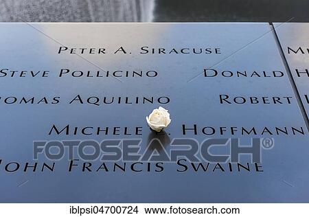 Names of 9/11 victims on pool parapet with white rose, National September 11 Memorial & Museum, New York, USA, North America View Large Photo Image Picture - Names of 9/11 victims on pool parapet with white rose, National September 11 Memorial & Museum, New York, USA, North America. Fotosearch