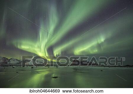 Northern Lights, Aurora Borealis, over frozen lake, Haukland, Lofoten, Norway, Europe View Large Photo Image Stock Photo - Northern Lights, Aurora Borealis, over frozen lake, Haukland, Lofoten, Norway, Europe. Fotosearch