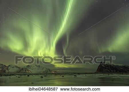 Northern lights on the coast near Gimsoy, Lofoten, Norway, Europe View Large Photo Image Stock Photo - Northern lights on the coast near Gimsoy, Lofoten, Norway, Europe. Fotosearch