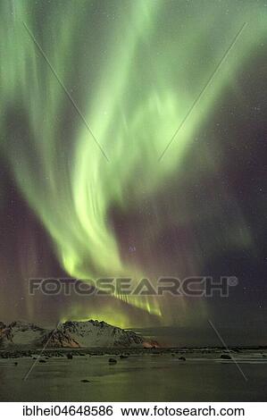 Stock Photograph - Northern lights on the coast near Gimsoy, Lofoten, Norway, Europe. Fotosearch