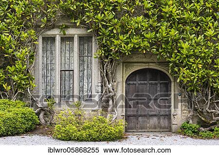 Old plant-ingrown façade with wooden door and window, Lanhydrock House, National Trust, Bodmin, Cornwall, United Kingdom, Europe View Large Photo Image Stock Photography - Old plant-ingrown façade with wooden door and window, Lanhydrock House, National Trust, Bodmin, Cornwall, United Kingdom, Europe. Fotosearch
