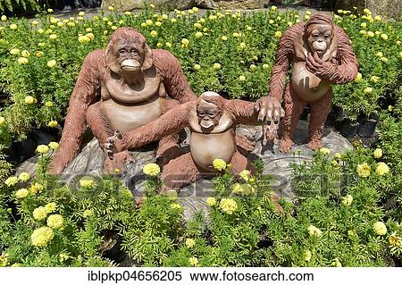 Stock Photography - Orang Utan figures, Nong Nooch Tropical Botanical Garden, Pattaya, Thailand, Asia. Fotosearch
